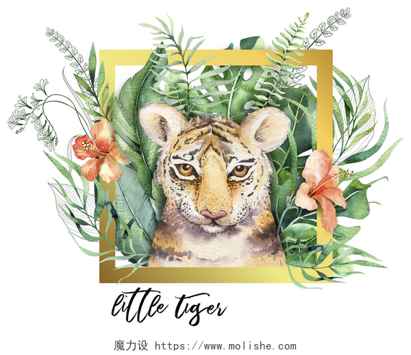 手绘水彩插图水彩老虎例证和夏天天堂热带叶子丛林打印与框架。棕榈植物和花隔绝 o 白色.